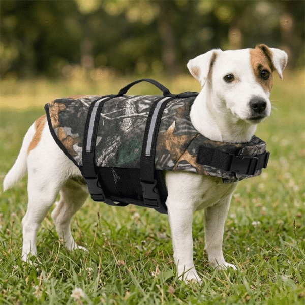 Gilet de sauvetage chasse pour chien