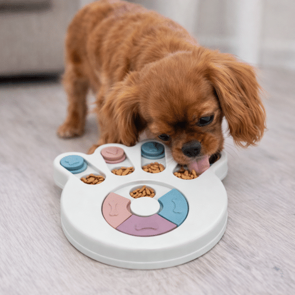 Distributeur croquette patte bleu pour petit chien