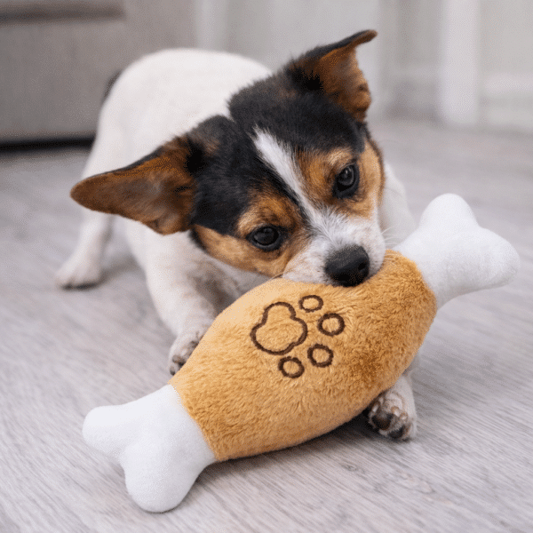 Jouet en peluche os pour chien