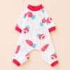 Pyjama pour chihuahua carotte rouge et bleu