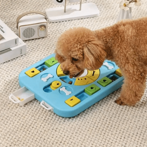 Distributeur croquette bleu jaune vert pour petit chien