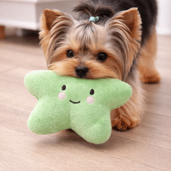 Peluche étoile verte pour chien