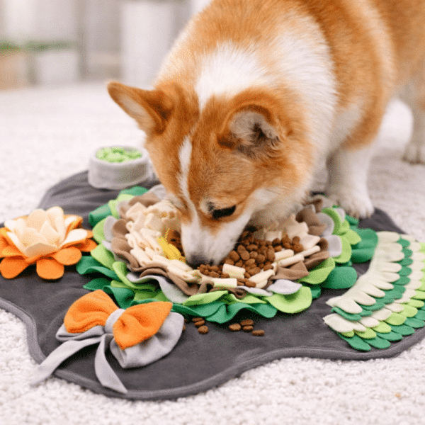 Tapis de fouille gris et vert noeud chien
