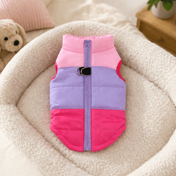 Manteau pour chien fushia rose et violet