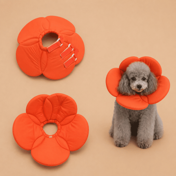 Collerette en forme de fleur orange chien