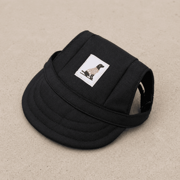 Casquette noir pour chien