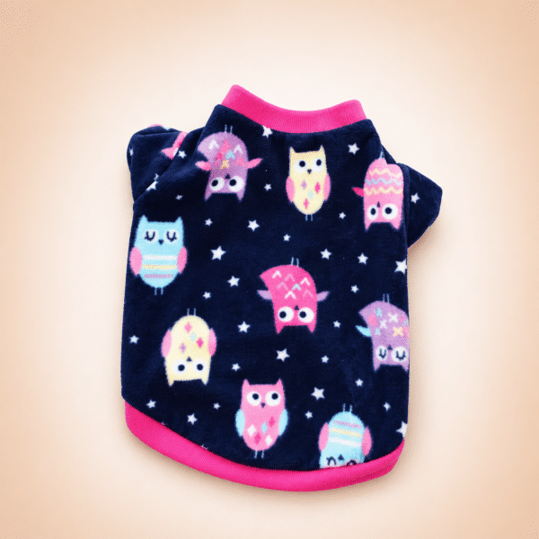 Pull hibou chihuahua