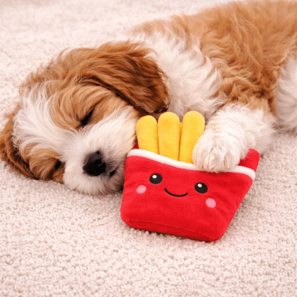 Peluche fast food pour chien