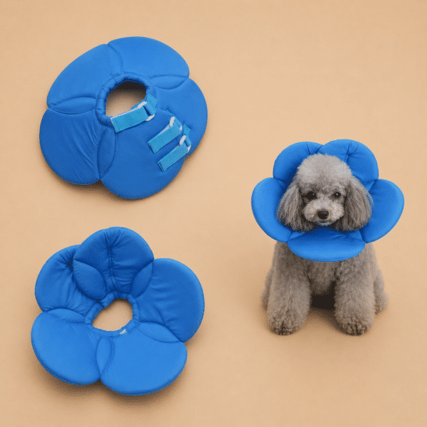 Collerette en forme de fleur bleu chien
