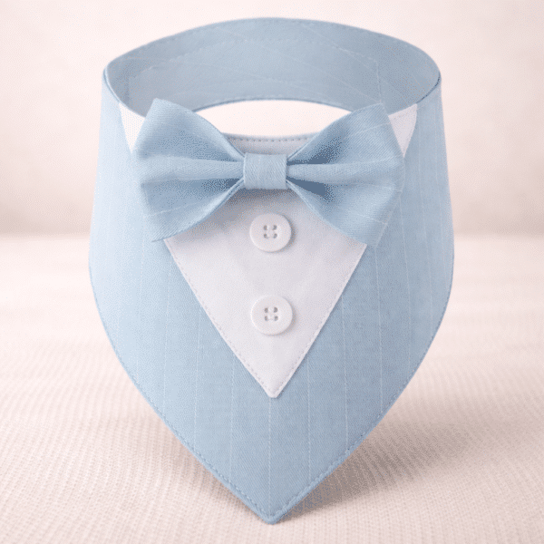 Déguisement noeud papillon bleu rayé chien