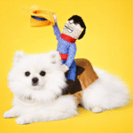 299d65ae-327a-4848-b7ee-0a796968347e