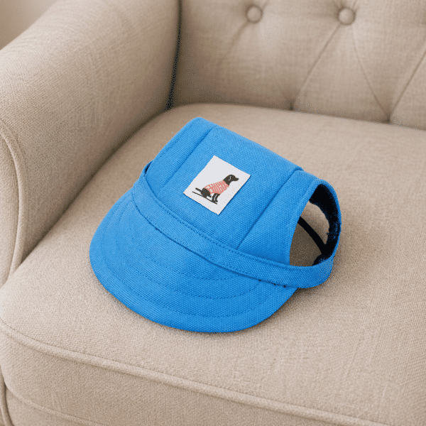 Casquette bleu pour chien