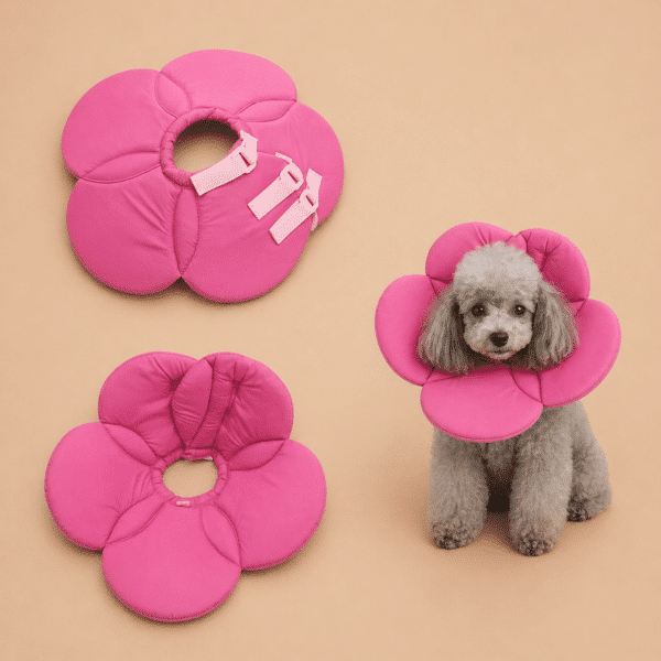 Collerette en forme de fleur rose chien