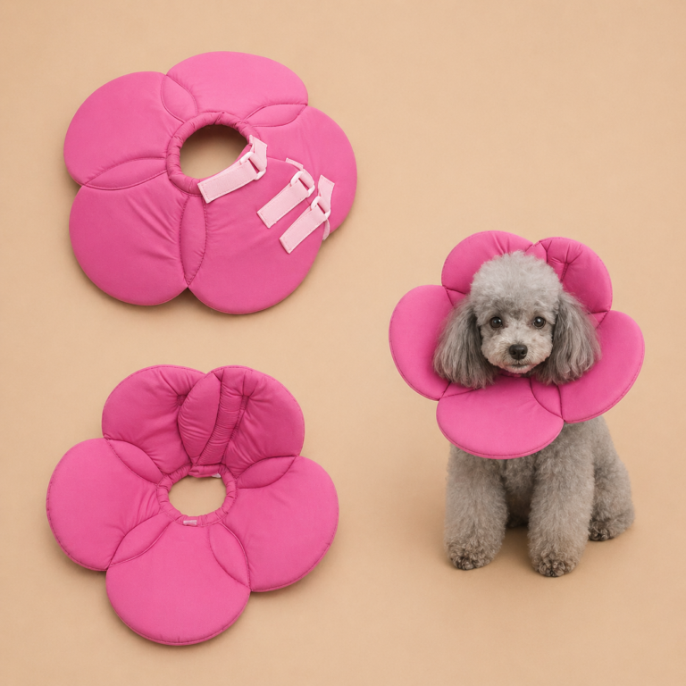 3c171581-19f3-463d-88d0-493a8597cff4