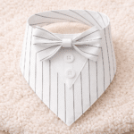 51d38ce6-616a-4b5f-9915-d2d5b3cc587e