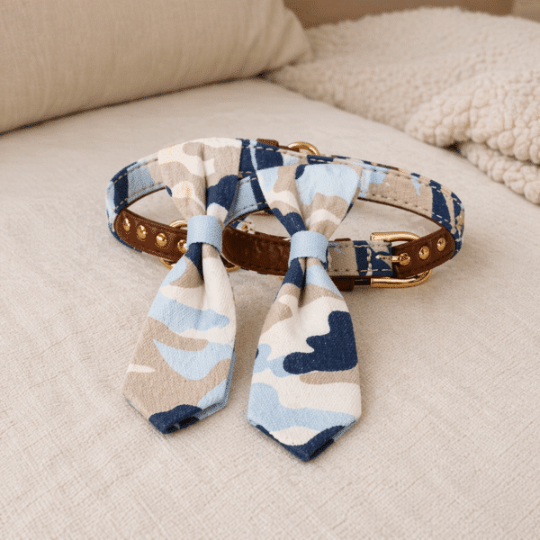 Collier cravate bleu et beige chien