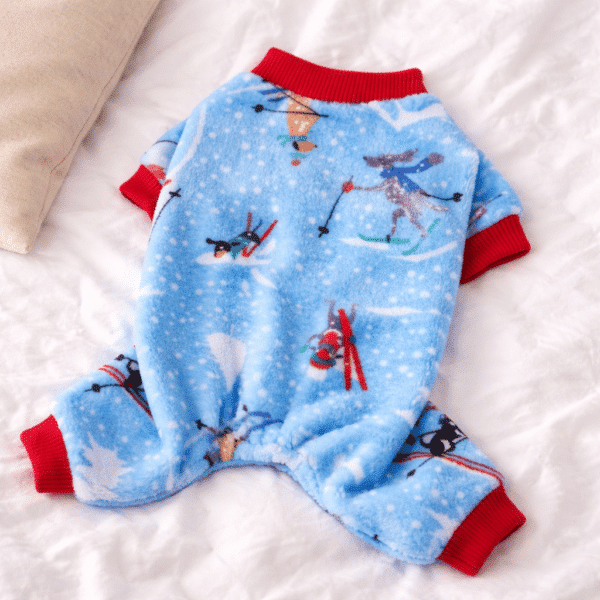 Pull pilou chihuahua motif ski bleu et rouge