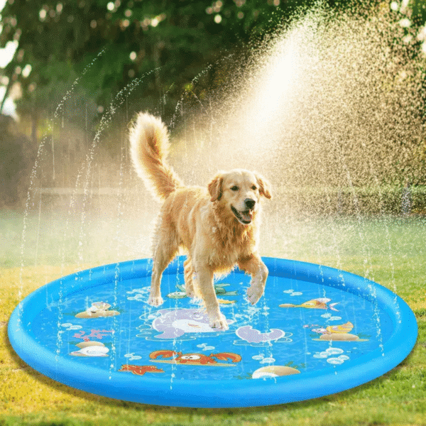 Piscine pliable pour chien