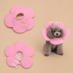 6bfc4c4c-a1f9-441f-932e-43d99e4e7931