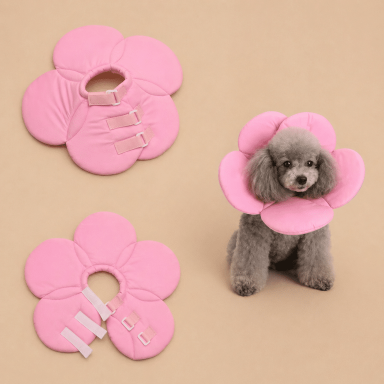 6bfc4c4c-a1f9-441f-932e-43d99e4e7931