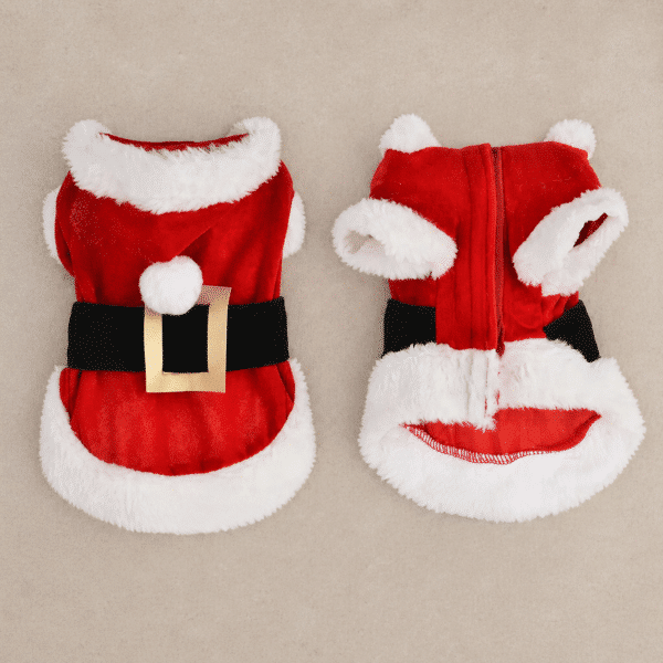 Déguisement noel chien