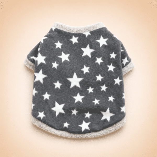 Pull étoile blanche spitz nain