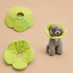 78a717ed-fbdb-48a0-9c42-9e6503faba0a