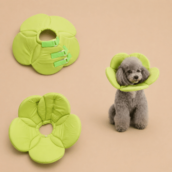 Collerette en forme de fleur verte chien