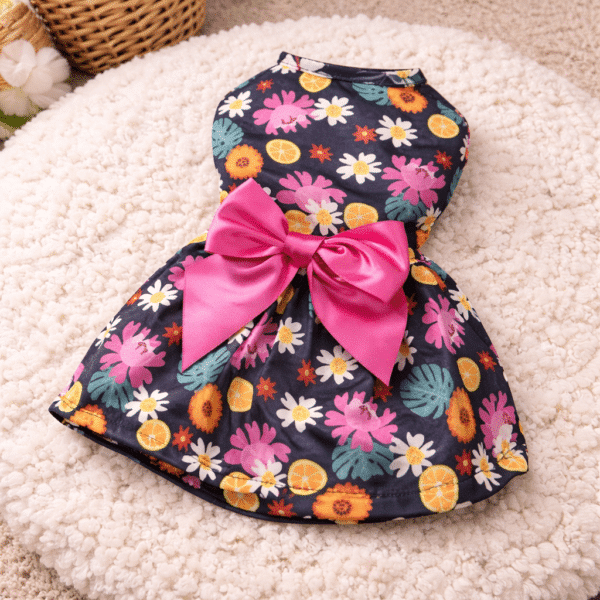 Robe chihuahua motif fleurs noeud rose