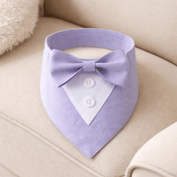 Déguisement noeud papillon lila chien