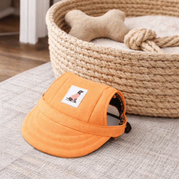 Casquette orange pour chien