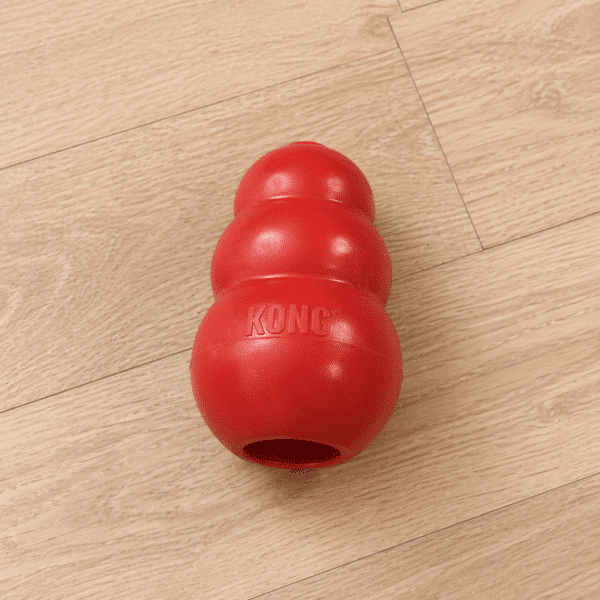 Jouet KONG rouge pour chien