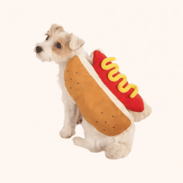 Déguisement hot dog petit chien