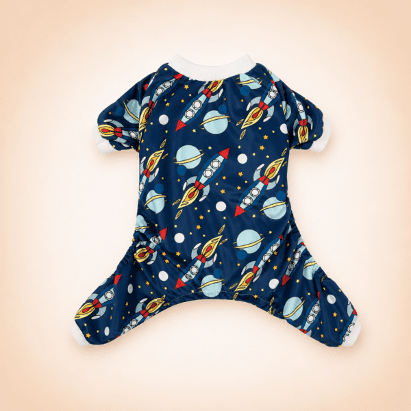 Pull chihuahua fusée