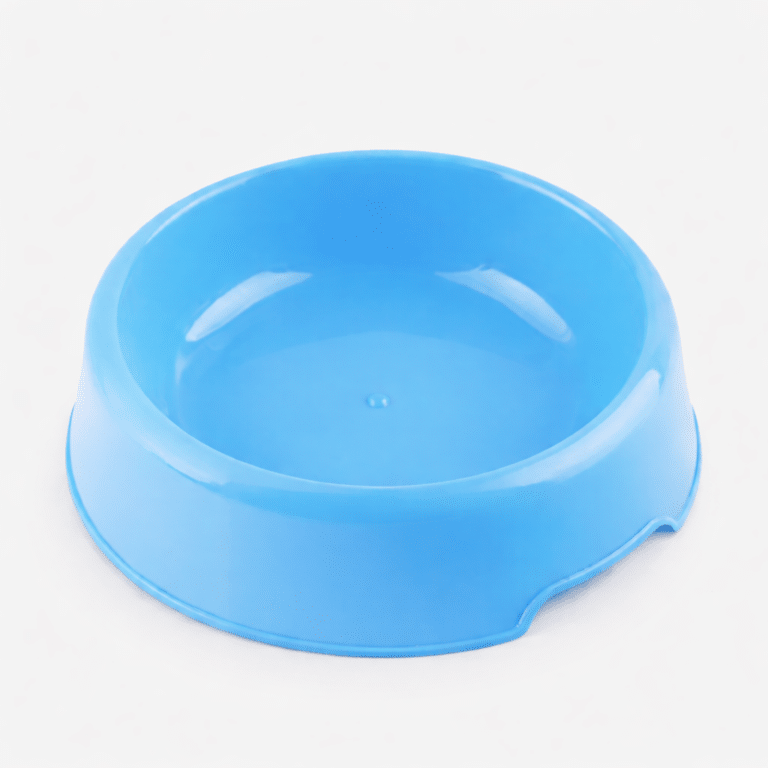 Bol pour animal bleu brillant