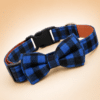 Collier noeud papillon bleu et noir chien