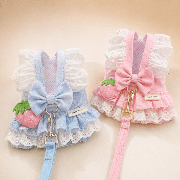 Harnais chihuahua robe dentelle motif fraise + laisse