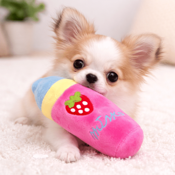 Peluche biberon fraise pour chien