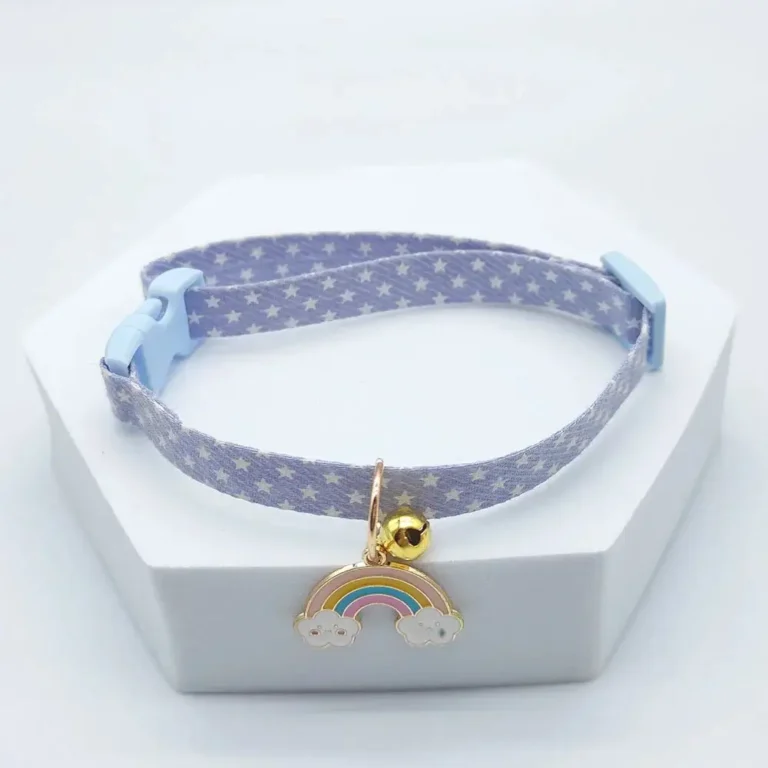 Collier chihuahua arc en ciel violet