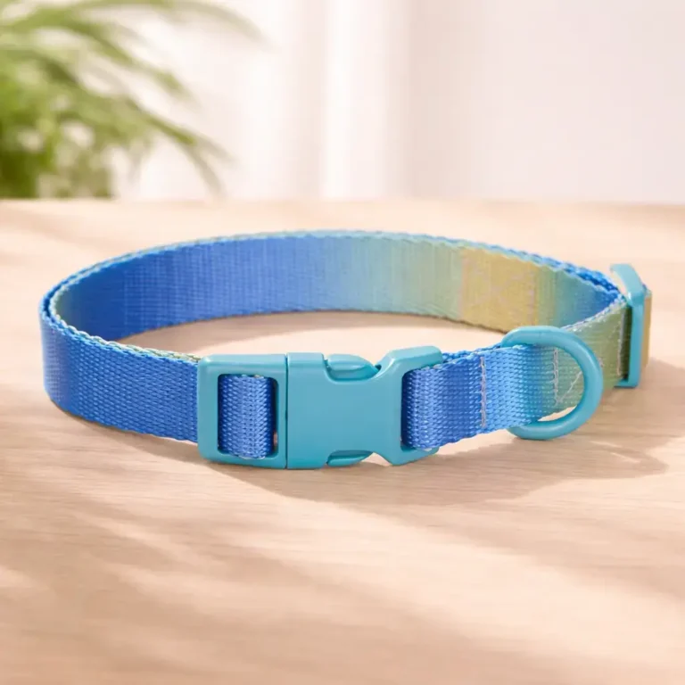 Collier dégradé bleu spitz