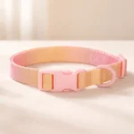 Collier dégradé jaune spitz
