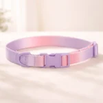 Collier dégradé rose spitz