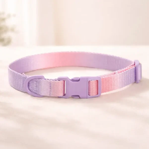 Collier dégradé rose spitz