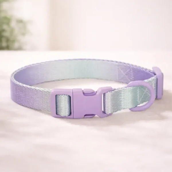 Collier dégradé violet spitz
