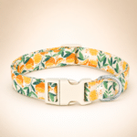 Collier en nylon orange doré chien