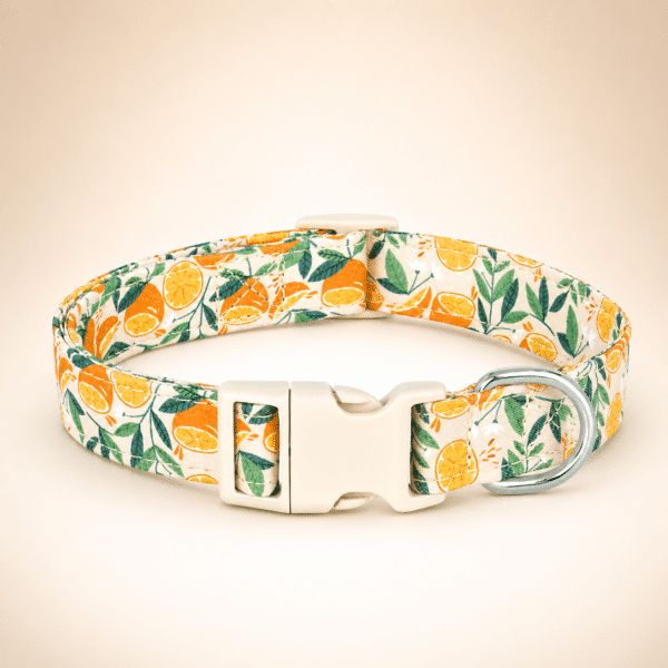 Collier en nylon orange doré chien