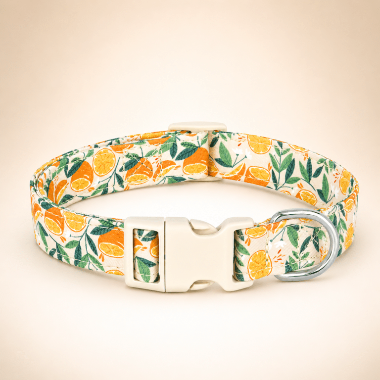 Collier en nylon orange doré chien