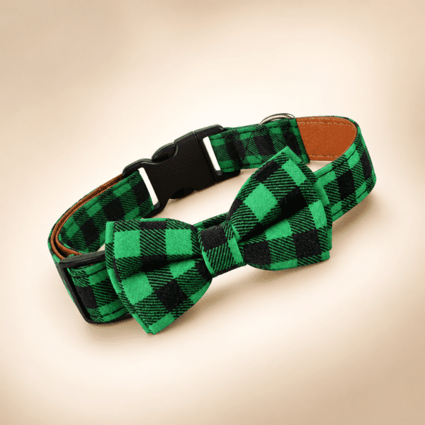 Collier noeud papillon vert et noir chien