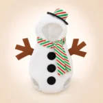 Déguisement bonhomme de neige spitz