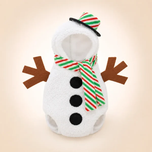 Déguisement bonhomme de neige spitz